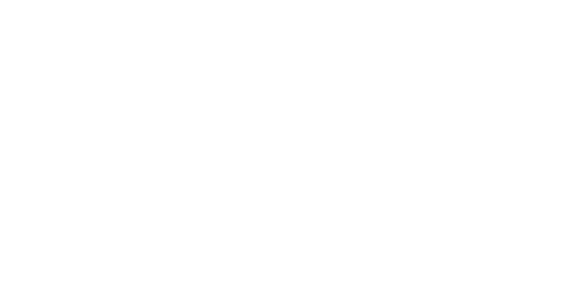 Futbol Fever